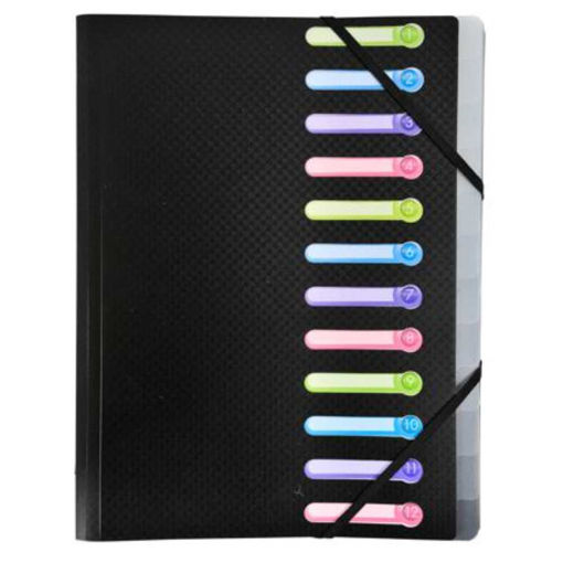 Picture of EXAC A4 OPAK FILE BOX BLACK WITH 12 TABS